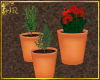 *JR Potted Plants Clay