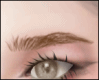 Eyebows blonde