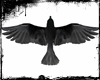 Crow Trigger [XR]