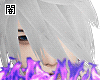 闇 Yata garasu silver