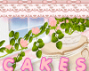 !$[c] Potted Pink Roses
