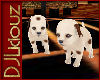 DJL-Spotted Puppies