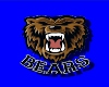 Bears Uniform Top