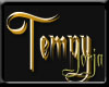 Tempy Gold Name Sticker
