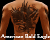 KK American Bald Eagle T