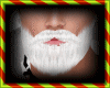 beard santa Claus