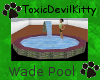 TDK!Wadepool w fountain