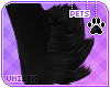 [Pets] Hana | leg tufts