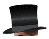 Top Hat male