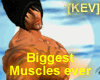 [KEV] Biggest Muscle top