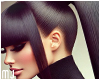 Sleek Power Ponytail
