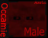 Male  feet  Anklet