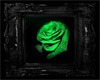 green rose framed