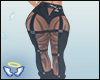 LIWA PANTS V2