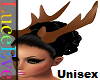 Brown Unisex Antlers