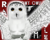 (M) SNOWY OWL BUNDLE!