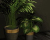 Modern Plants Set