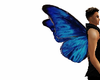 alas azules mariposa