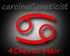 >CG< 4Chords KarKat Hair