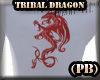 (PB)Tribal Dragon Tattoo