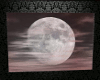 Animated Moon Picture Pk