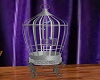 Bird Cage GA