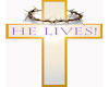 Hes  Alive Cross