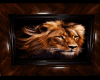 (DALI) Lion Picture F:.