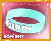 *SQWY* Puppy Collar(B)