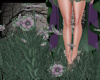 +Spring Witch's Flowers