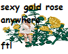 sexy gold rose anywhere