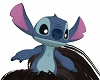 Stitch - Head PET