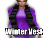 Winter Vest