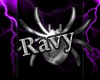 Pet bet .....raven