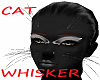 {Ash} CAT Whisker