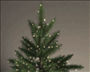! Classic Christmas Tree