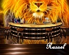 wild lions bar