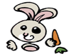 Cutie bunny