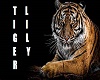 tiger wicked