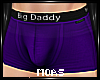 ~Purple Big Dad Briefs~