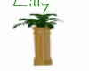 [LWR]Stand Plant