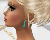 SE-Torquoise Earrings