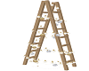 Aimated Ladder