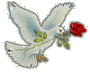 sticker dove