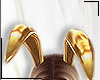 Bunny EarBunny Ear