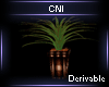 Derivable Plant V6