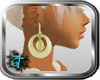 [T] Gold Earrings