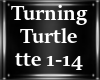 turning turtle