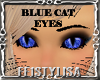 ! Blue Cat Eyes