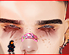 Zodiac brows
